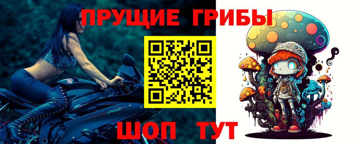 Тобольск  Галлюциногенные грибы мицелий  Вход с VPN 