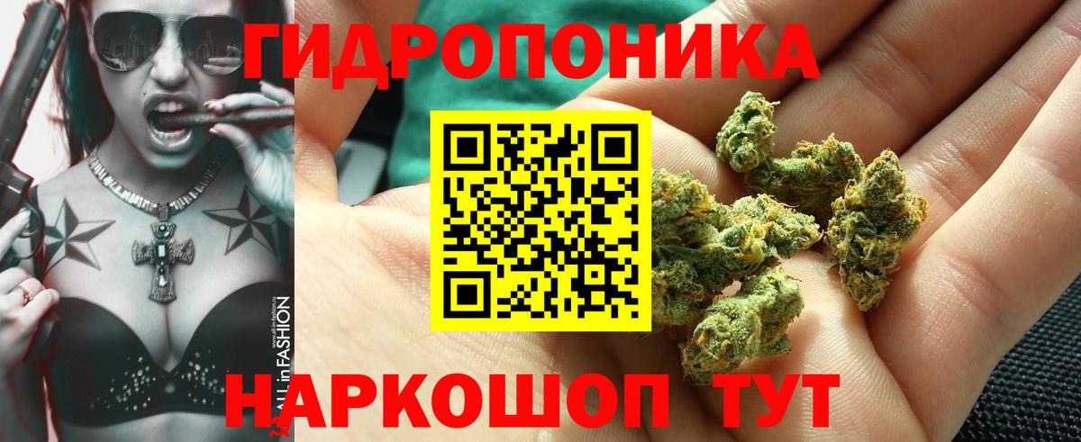 Шишки марихуана Amnesia Тобольск